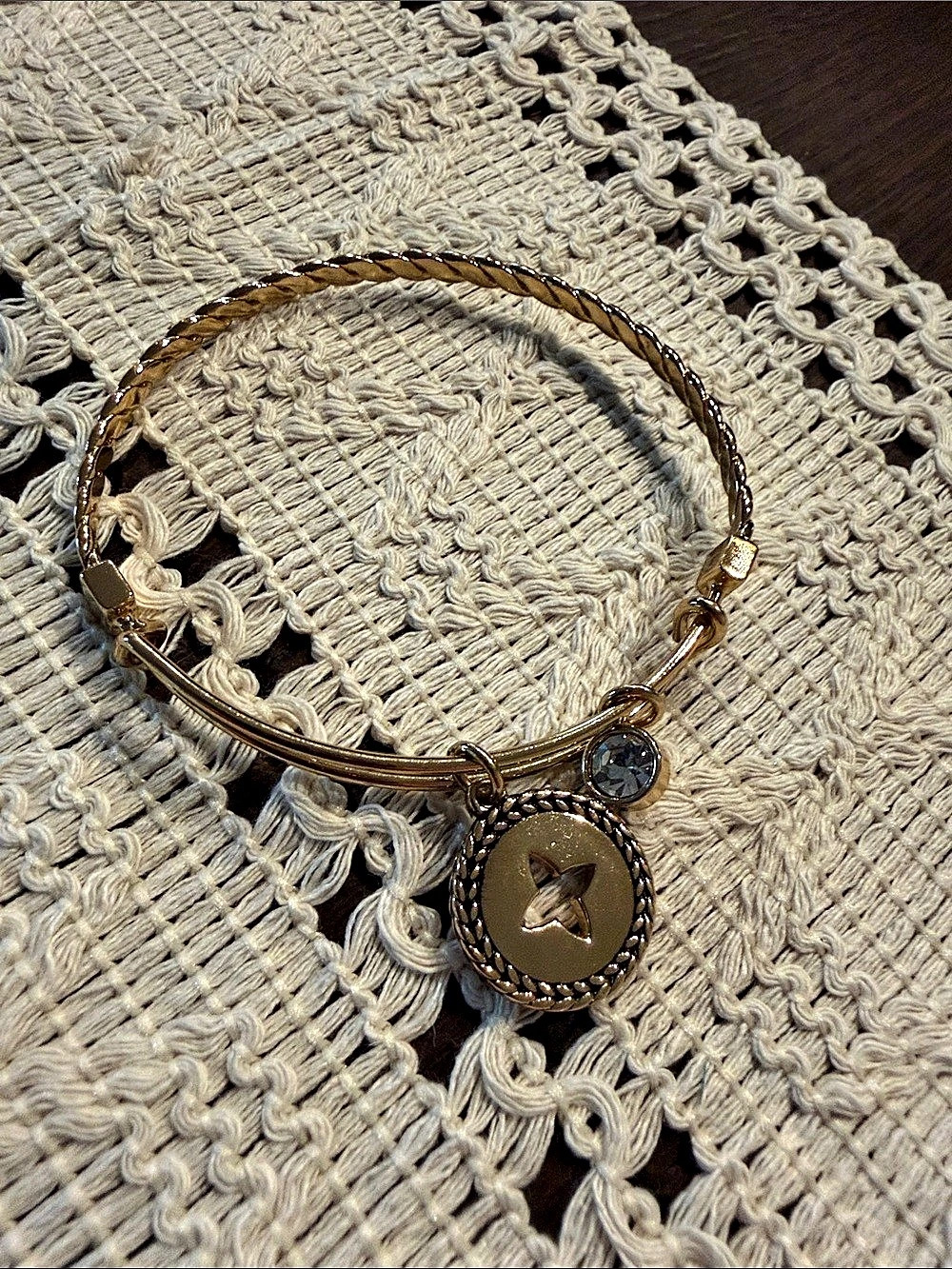 Alex and Ani Gold & Brown Charm Bangle Bracelet